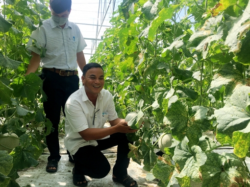 Nông dân Tà Đảnh thi đua sản xuất - kinh doanh giỏi