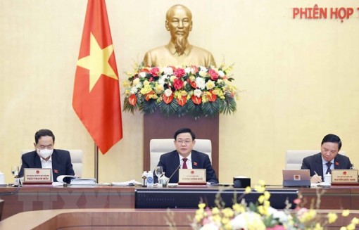 Xem xét việc bổ sung quyền tác giả đối với Quốc kỳ, Quốc huy, Quốc ca