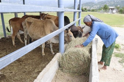 Đôn đốc các địa phương triển khai Chương trình phục hồi kinh tế-xã hội