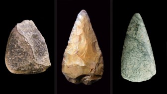 Một loài đã tiến hóa đủ để sử dụng công cụ như con người đồ đá