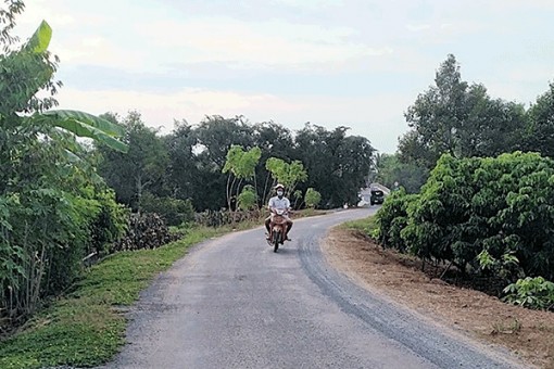 Cần Thơ: Giao thương thuận tiện