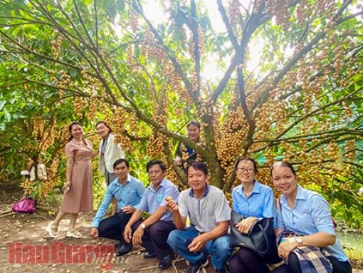 Hậu Giang: Sẵn sàng đón du khách đến Ngã Bảy thân thương !