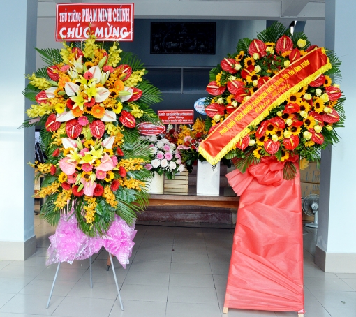 Thủ tướng Chính phủ, Phó Chủ tịch nước gửi lẵng hoa chúc mừng ngành y tế An Giang