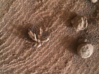 Phát hiện tảng đá hình bông hoa trên sao Hỏa