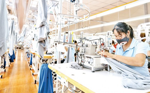 Hướng ưu tiên vào thị trường trong nước