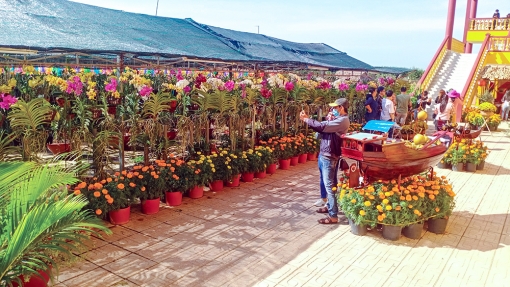 Tân Châu phát triển du lịch
