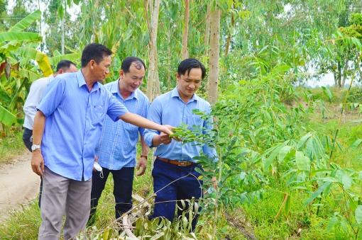 Khảo sát nhu cầu trồng cây phân tán năm 2022