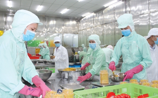An Giang đồng hành với doanh nghiệp, hướng đến phát triển bền vững