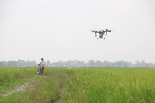 Đồng Tháp tập trung giải pháp thực hiện chuyển đổi số ngành nông nghiệp