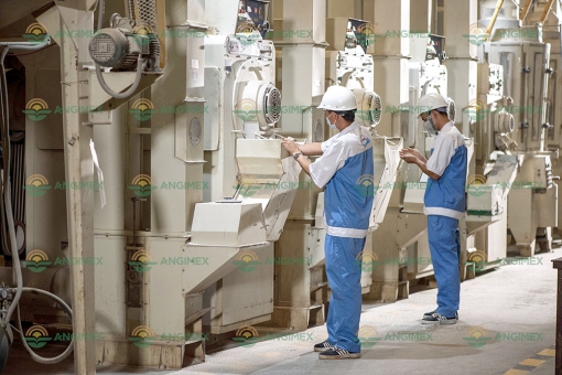 Công ty Cổ phần xuất nhập khẩu An Giang (Angimex): Cải tổ để khẳng định vị thế, sức mạnh trên thương trường