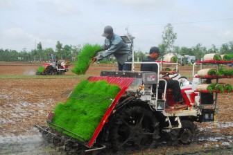 Ứng dụng công nghệ cao vào sản xuất lúa