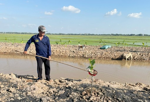 Chuyển đổi cây trồng, nâng cao thu nhập nông dân