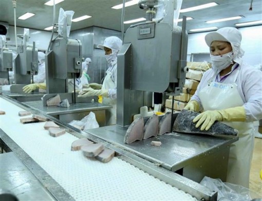 Khó khăn cho ngành thủy sản Việt Nam trước căng thẳng Nga-Ukraine