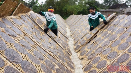 Đưa nông sản địa phương “xuất ngoại”