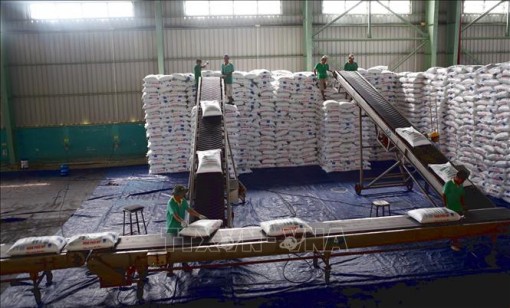 Tìm nguồn cung phân bón thay thế trước căng thẳng Nga-Ukraine