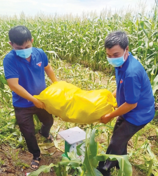 Tuổi trẻ Châu Phú hưởng ứng Tháng Thanh niên
