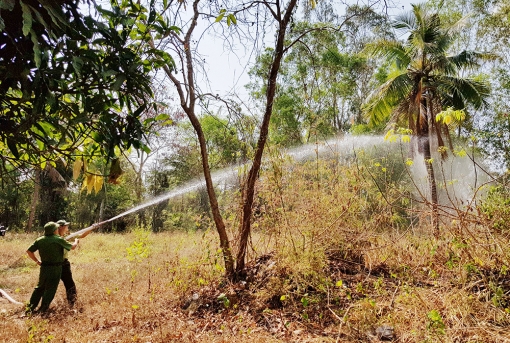 An Giang tập trung bảo vệ rừng mùa khô