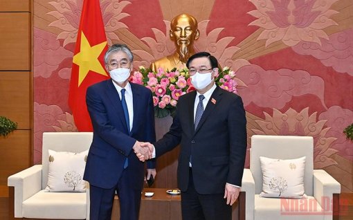 Hoan nghênh nhà đầu tư Nhật Bản quan tâm phát triển năng lượng sạch ở Việt Nam