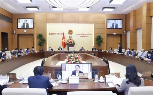 Giám sát việc sắp xếp các đơn vị hành chính cấp huyện, cấp xã giai đoạn 2019 - 2021