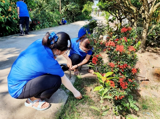Thanh niên Chợ Mới thực hiện nhiều hoạt động chào mừng ngày thành lập Đoàn
