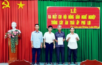 Chi hội Nông dân nghề nghiệp trồng cây ăn trái đầu tiên ở Phú Tân