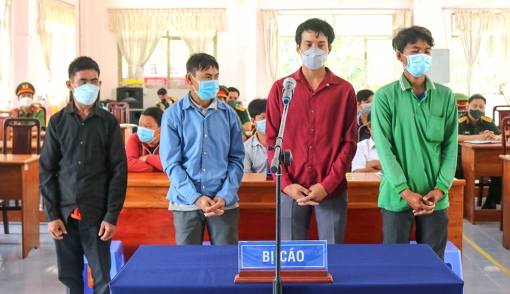 Nước mắt muộn màng
