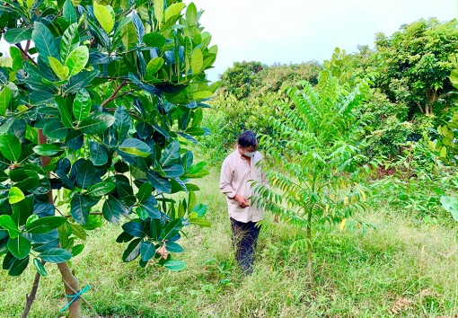 Hiệu quả các mô hình lấy ngắn nuôi dài