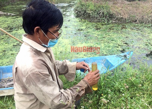 Hậu Giang: Chủ động, linh hoạt ứng phó với hạn, mặn