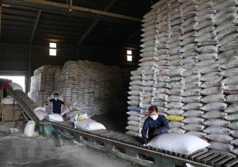 Giá gạo xuất khẩu của Việt Nam cao nhất trong ba tháng rưỡi