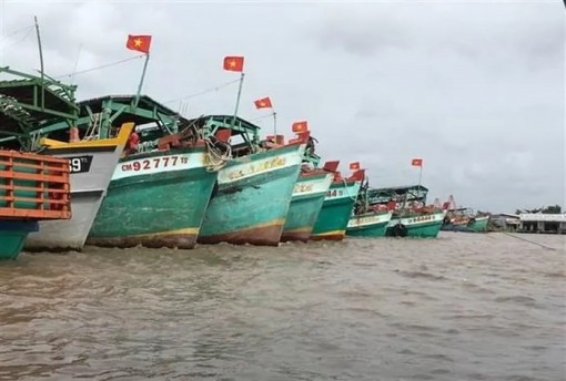 Khắc phục 'thẻ vàng' IUU, Cà Mau quản lý chặt tàu cá ra, vào cửa biển