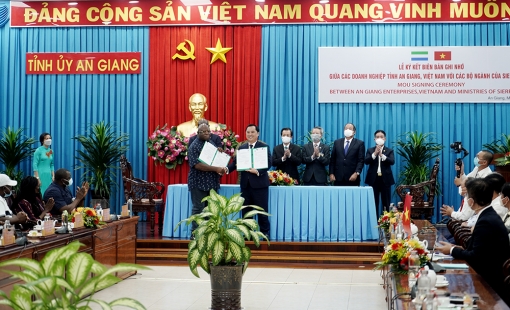Angimex ký hợp đồng xuất khẩu gạo trị giá tỷ đô với nước Cộng hòa Sierra Leone