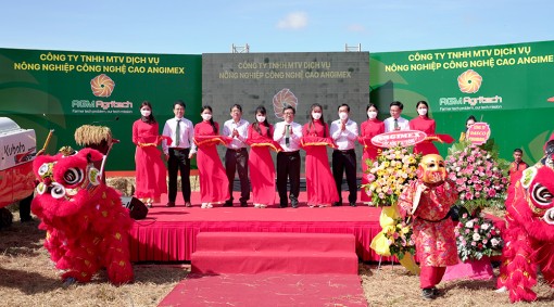 Công ty AGM-Agritech đồng hành nông dân nâng cao giá trị cây lúa