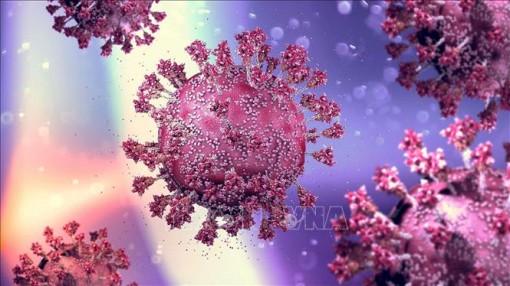 Bằng chứng mới về hiệu quả của liệu pháp miễn dịch dựa trên tế bào T