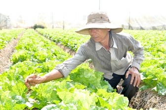 Phát triển nông nghiệp ở huyện Châu Thành