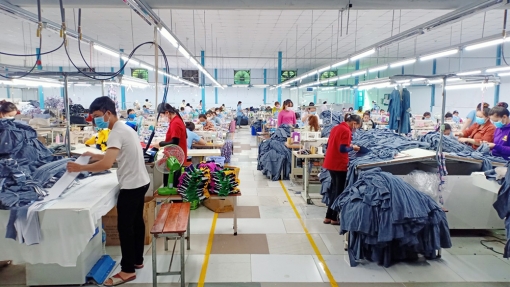An Giang cải thiện mạnh mẽ môi trường kinh doanh, nâng cao năng lực cạnh tranh