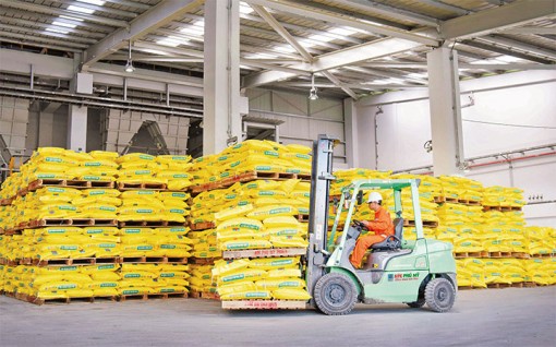 Chủ động nguồn cung phân bón trên thị trường