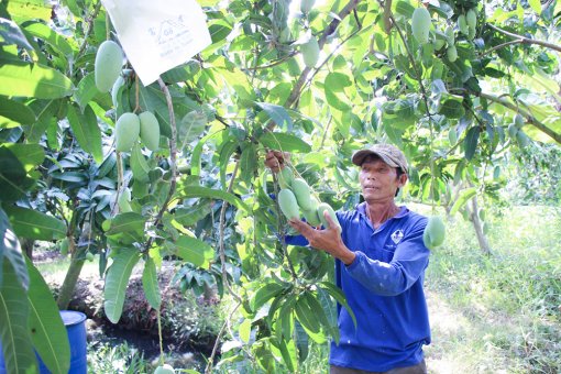 Hội Nông dân huyện Chợ Mới góp phần phát triển kinh tế - xã hội