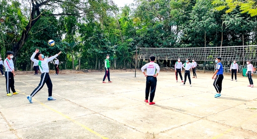 Phong trào thể dục - thể thao trong trường học