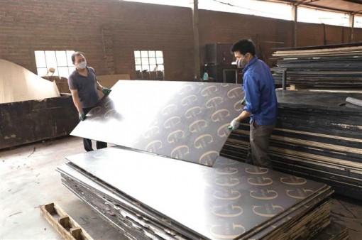 Kinh tế dần hồi phục nhờ mở cửa toàn diện, kiểm soát tốt dịch