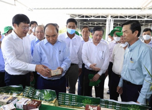 Đồng Tháp cần nhân rộng mô hình hợp tác xã kiểu mới