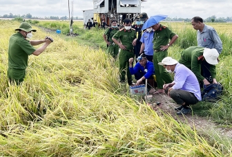 An Giang: Dùng điện bẫy chuột bảo vệ lúa gây chết người