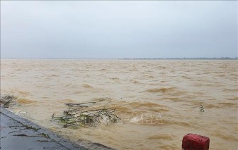 Quảng Trị: Mưa lớn khiến hơn 800 ngôi nhà và 8.400 ha lúa bị ngập