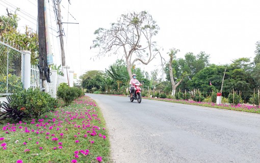 Chợ Mới xây dựng nông thôn mới