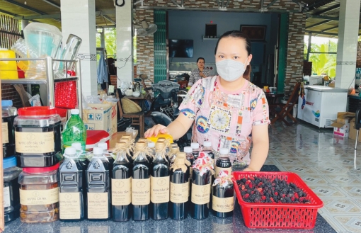 Trồng dâu tằm kết hợp du lịch sinh thái