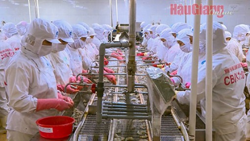 Hậu Giang: Kêu gọi thu hút đầu tư 53 dự án