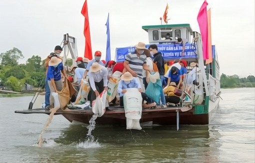 Vĩnh Long: Nỗ lực tái tạo nguồn lợi thủy sản