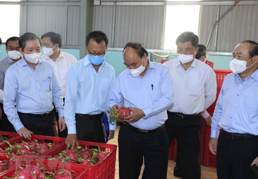 Chủ tịch nước thăm một số hợp tác xã tiêu biểu ở Tiền Giang