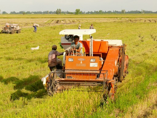 Tri Tôn nâng cao giá trị sản xuất nhờ hợp tác xã