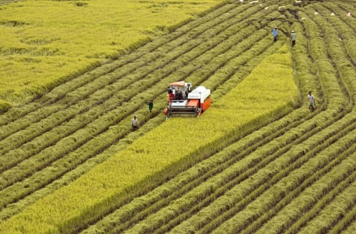 Tháo gỡ khó khăn, đảm bảo mục tiêu tăng trưởng nông nghiệp