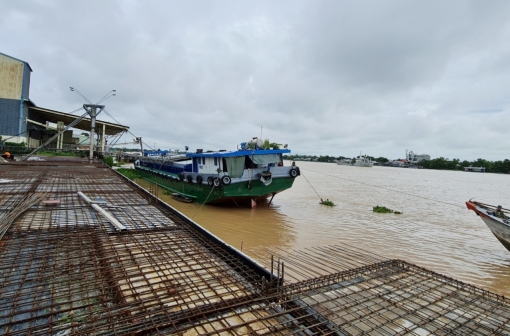 An Giang phát triển bền vững nông nghiệp